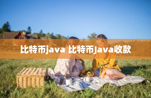 比特币java 比特币Java收款