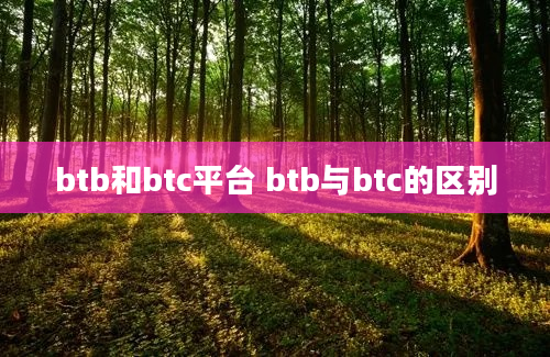 btb和btc平台 btb与btc的区别