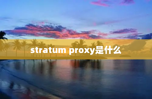 stratum proxy是什么