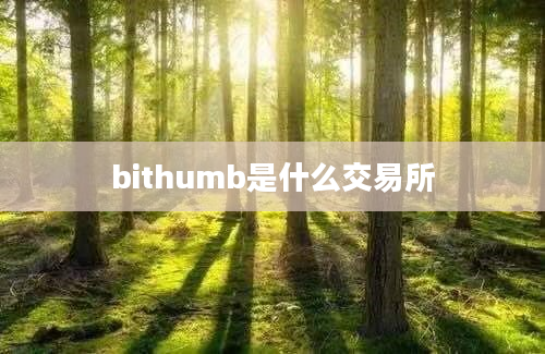 bithumb是什么交易所