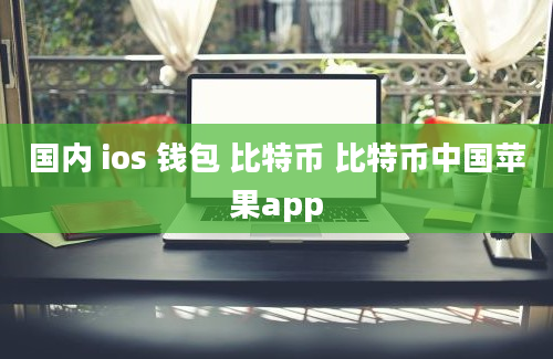 国内 ios 钱包 比特币 比特币中国苹果app