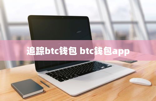 追踪btc钱包 btc钱包app